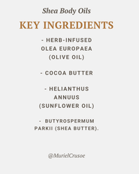 COCOA BUTTER + CASHMERE Shea Body Oil