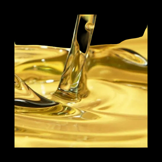 COCOA BUTTER + CASHMERE Shea Body Oil
